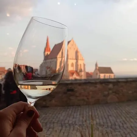 Viva Znojmo