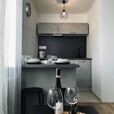 Viva - Blizko Centra - Idealni Pro Par Apartment *