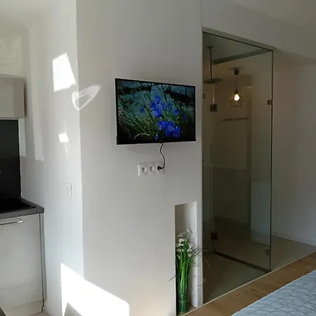 Viva Apartment *